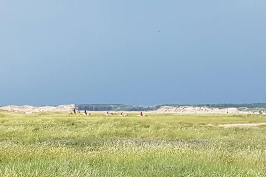 La Cabane Des Dunes A Fort-Mahon Plage מראה חיצוני תמונה