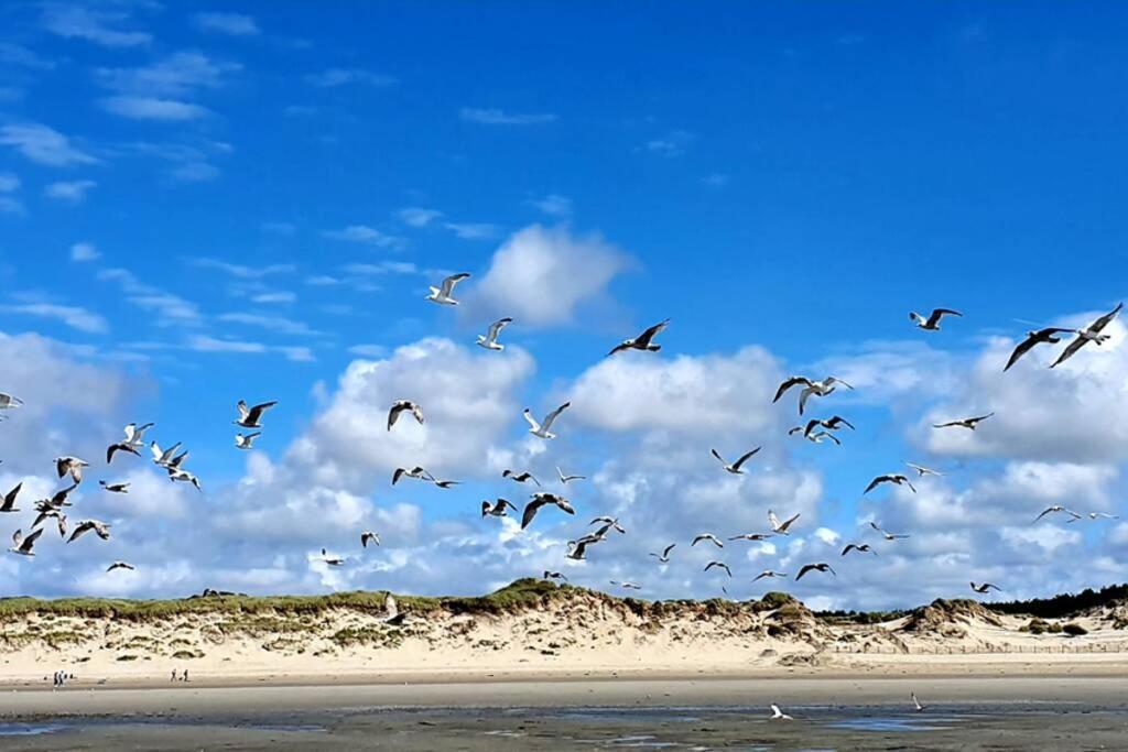 La Cabane Des Dunes A Fort-Mahon Plage מראה חיצוני תמונה
